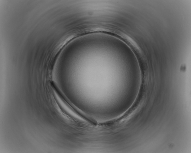 X0000092020793200709201551