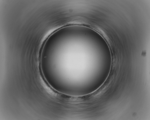 X0000092020795200709201550