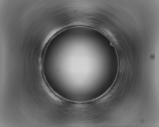 X0000092020796200709201550