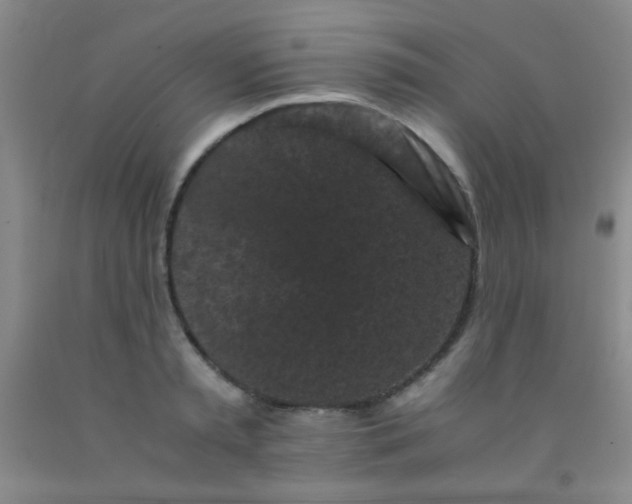 X0000092020797200709201550