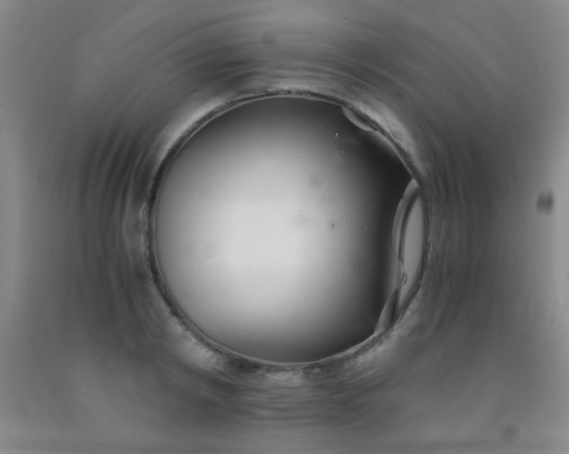 X0000092020798200709201550