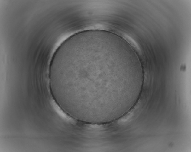 X0000092020800200709201550