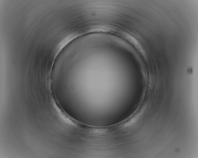 X0000092020802200709201550