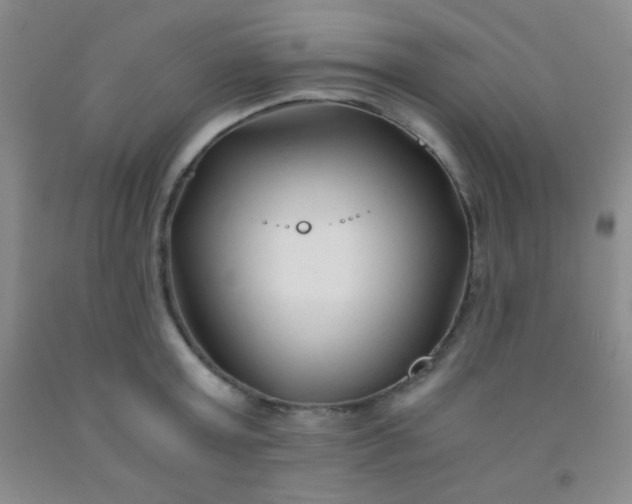 X0000092020803200709201550