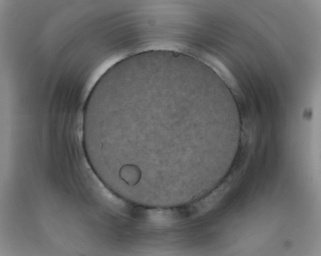 X0000092020804200709201550