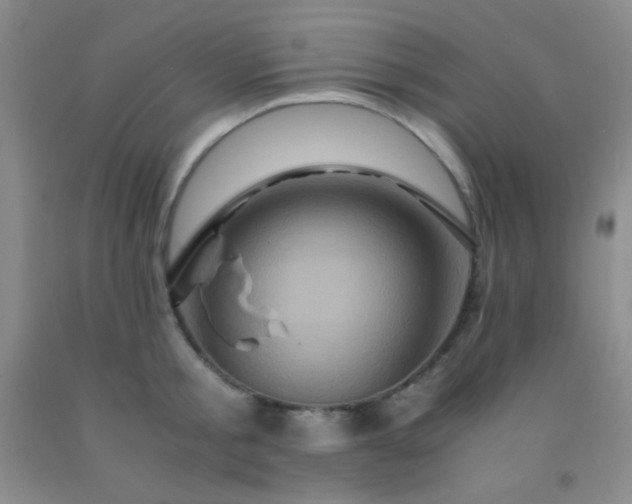 X0000092020805200709201550