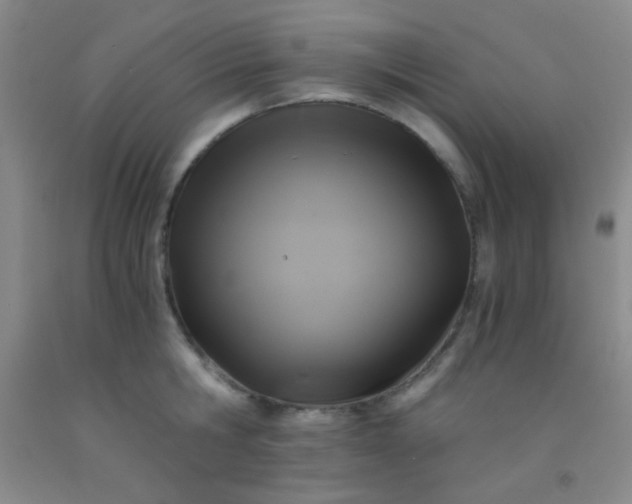 X0000092020806200709201550