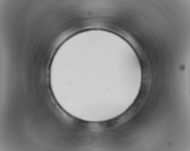 X0000092020807200709201550