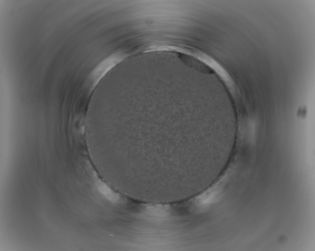 X0000092020809200709201550