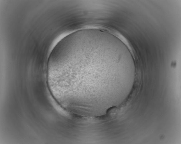 X0000092020811200709201550