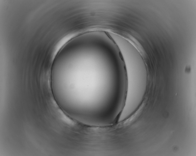 X0000092020812200709201550