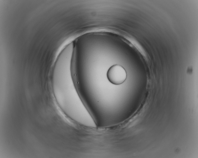 X0000092020813200709201550