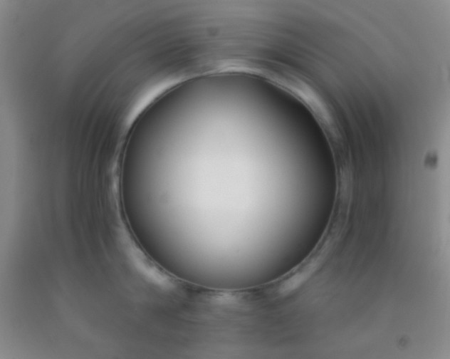 X0000092020814200709201550