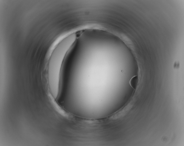 X0000092020816200709201550