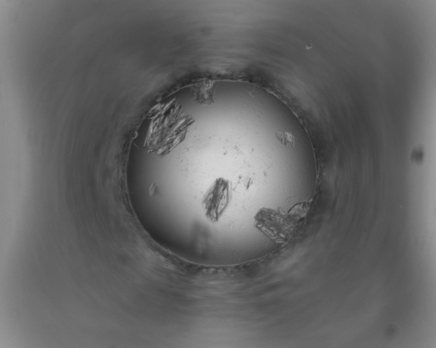 X0000092020817200709201550