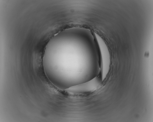 X0000092020818200709201550