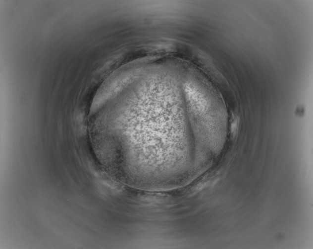 X0000092020819200709201550