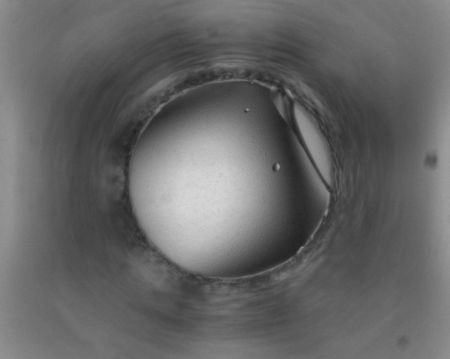 X0000092020821200709201550