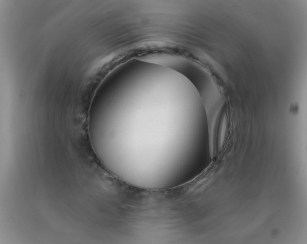 X0000092020822200709201550