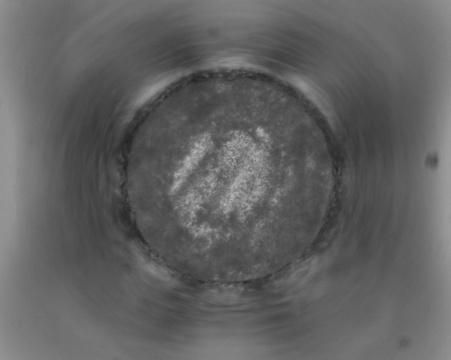 X0000092020823200709201550