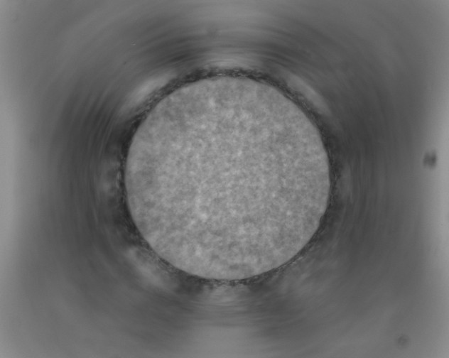 X0000092020824200709201550