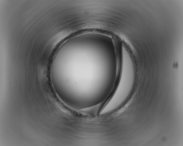 X0000092020826200709201550