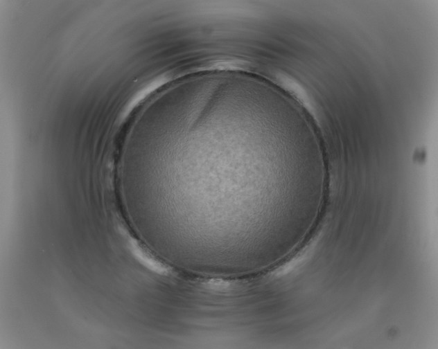 X0000092020827200709201550