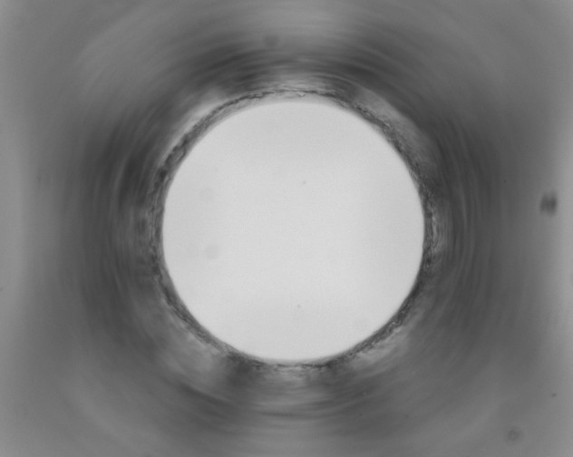 X0000092020828200709201550