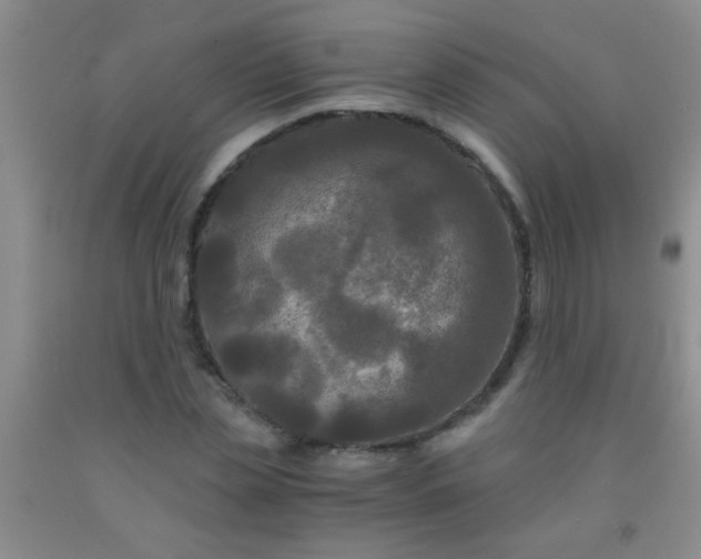 X0000092020829200709201550