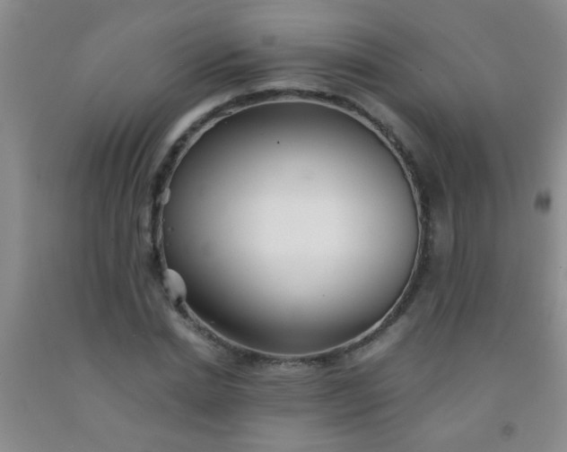 X0000092020830200709201550