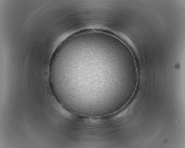 X0000092020831200709201550