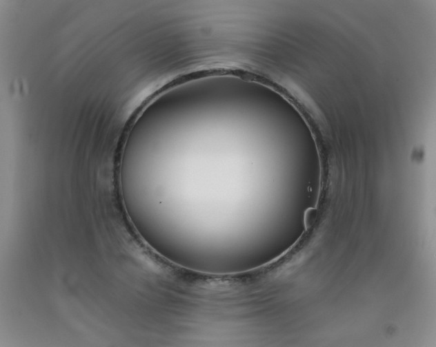 X0000092020834200709201550