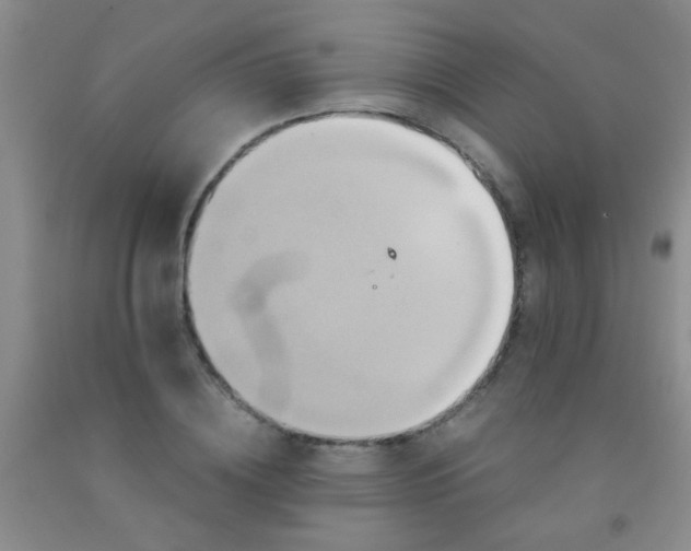 X0000092020836200709201550