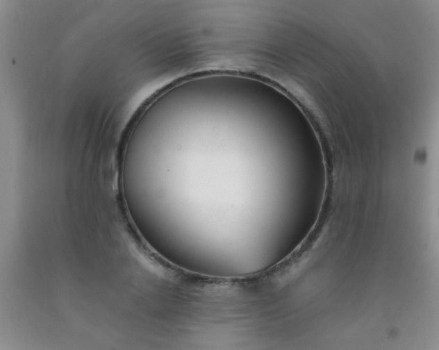 X0000092020838200709201550