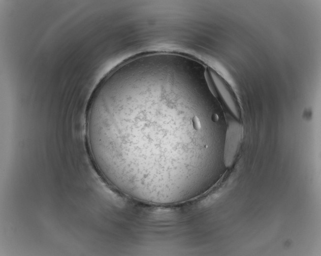 X0000092020839200709201550