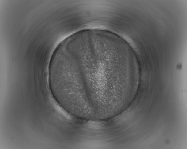 X0000092020840200709201550