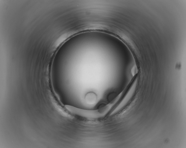 X0000092020842200709201550