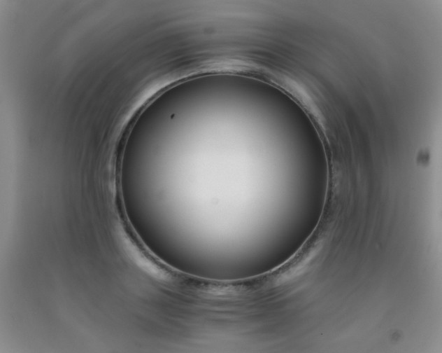 X0000092020843200709201550