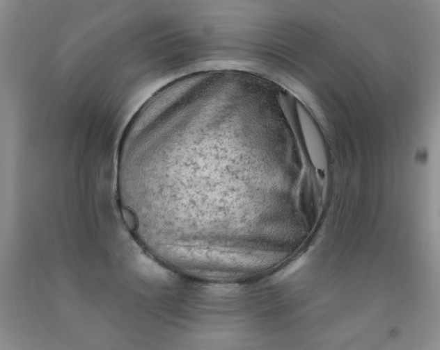 X0000092020844200709201550