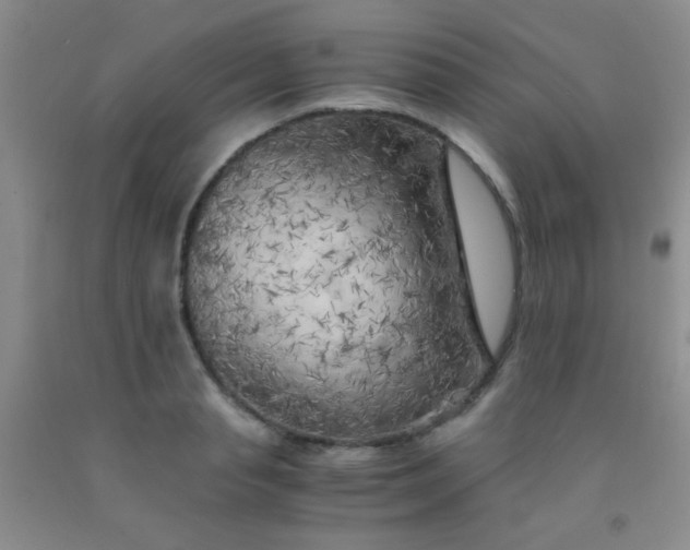 X0000092020845200709201550