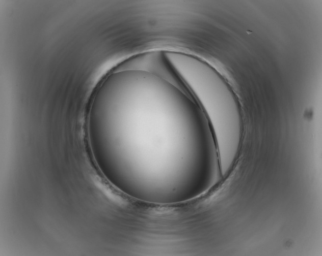 X0000092020846200709201550