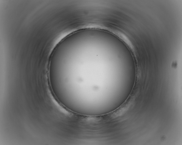 X0000092020847200709201550