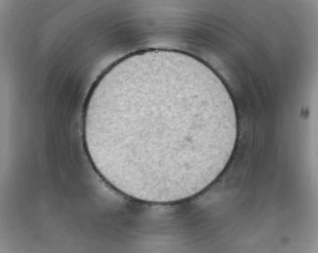 X0000092020848200709201550