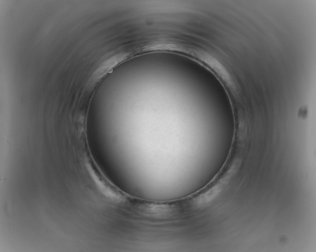 X0000092020849200709201550