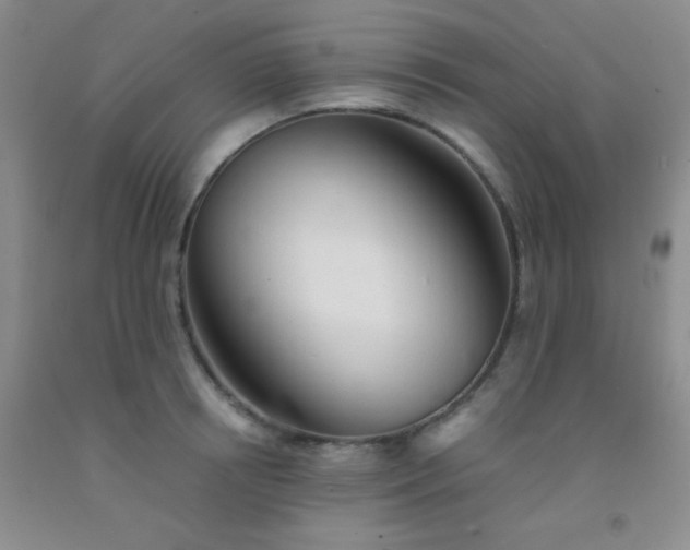 X0000092020850200709201550