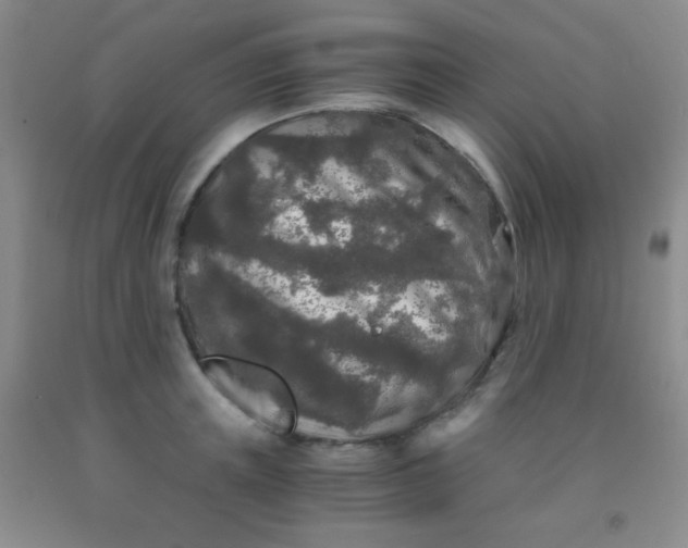 X0000092020851200709201550