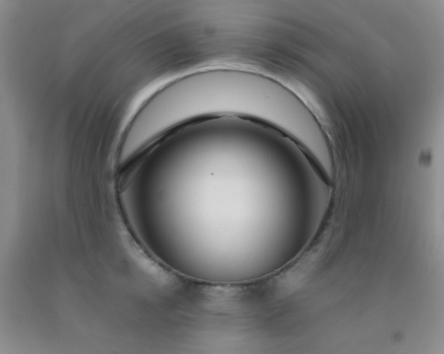 X0000092020854200709201550