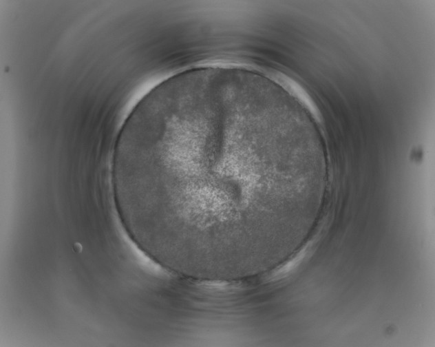 X0000092020855200709201550