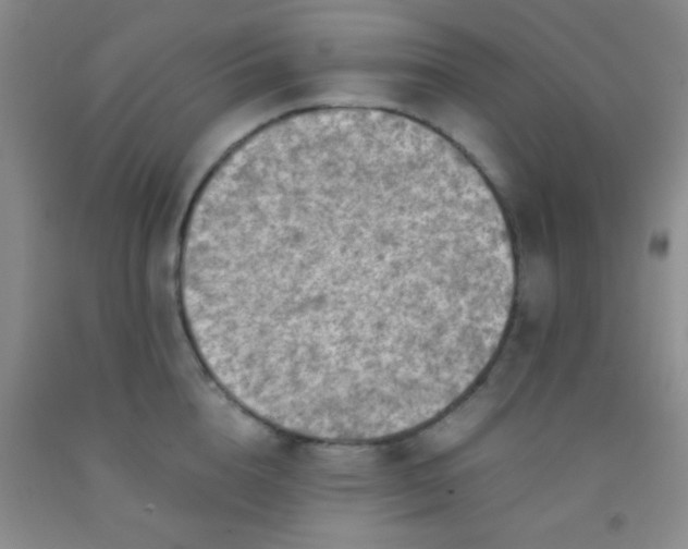 X0000092020856200709201550