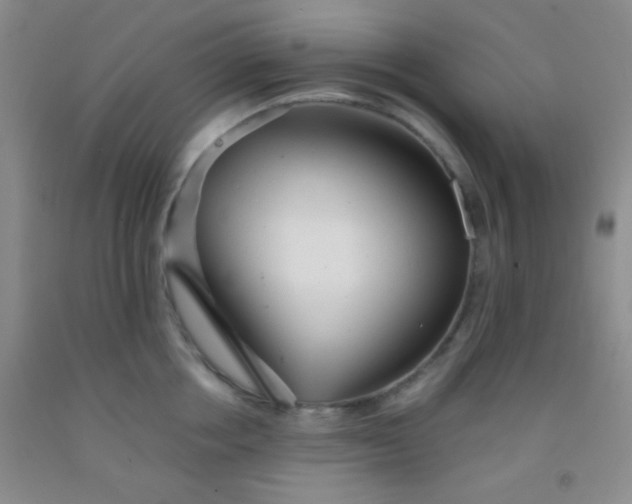 X0000092020858200709201550